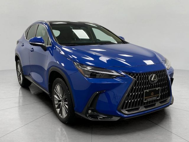 2023 Lexus NX 350 Luxury