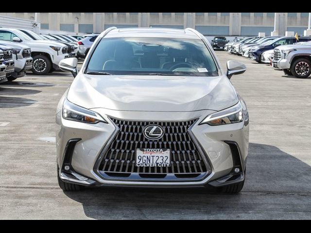 2023 Lexus NX 350 Premium