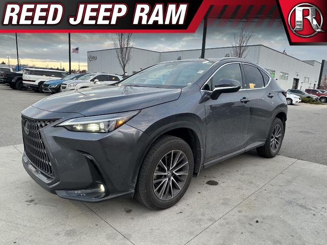 2023 Lexus NX 350 Premium