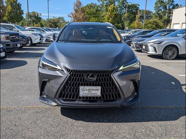 2023 Lexus NX 350 Premium
