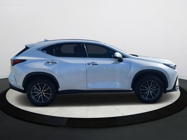 2023 Lexus NX 350 Premium