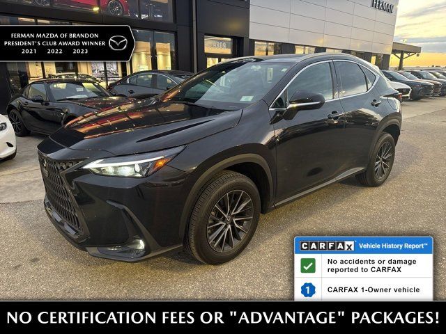 2023 Lexus NX 350 Premium