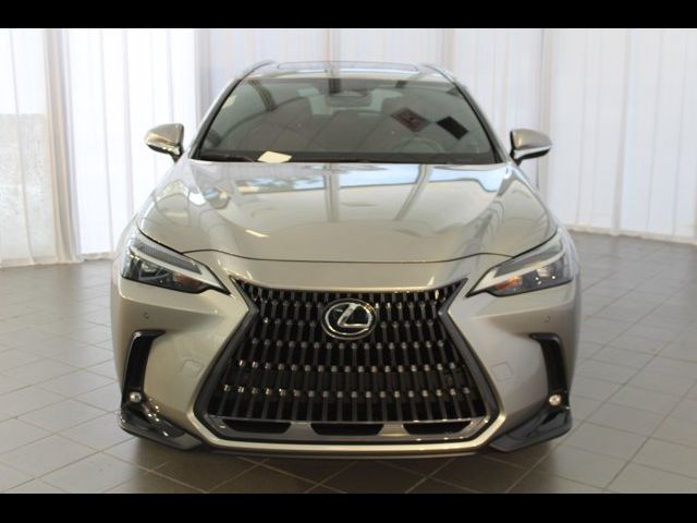 2023 Lexus NX 350 Premium