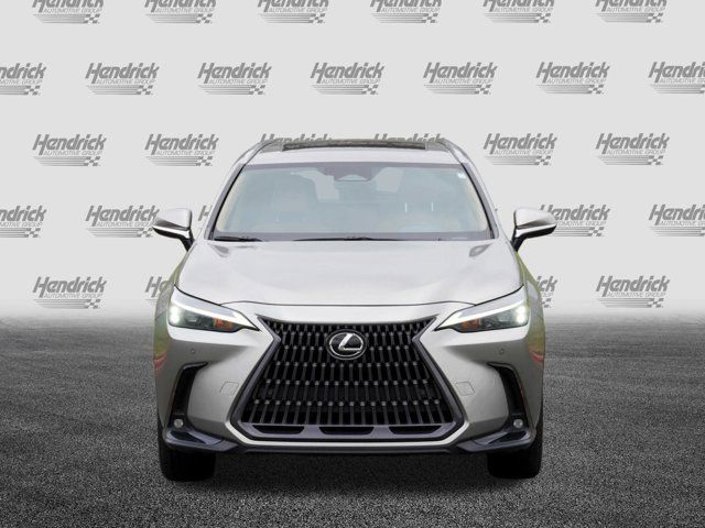 2023 Lexus NX 350 Premium