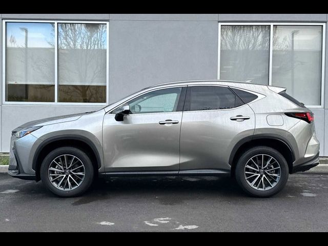 2023 Lexus NX 350h