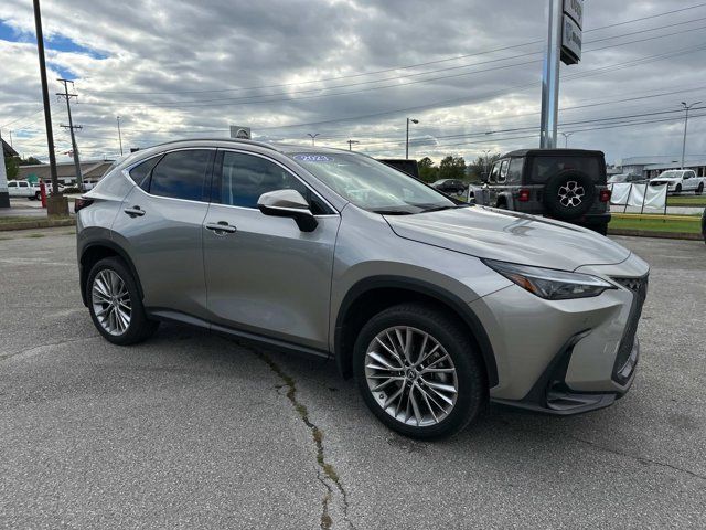 2023 Lexus NX 350h Premium