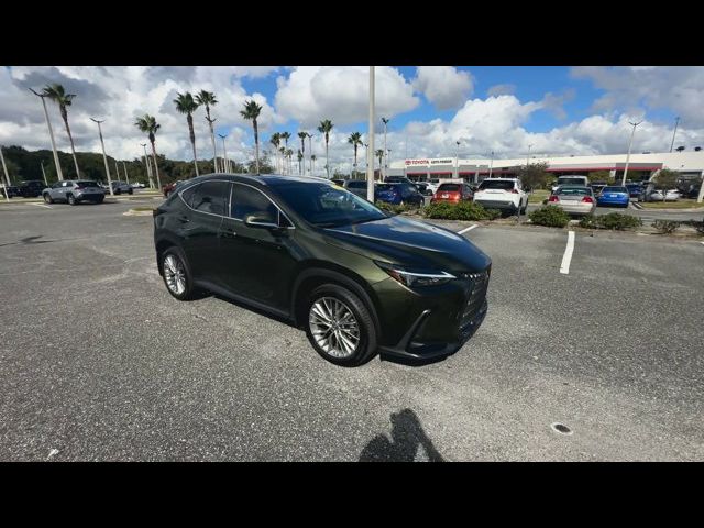 2023 Lexus NX 350h Premium