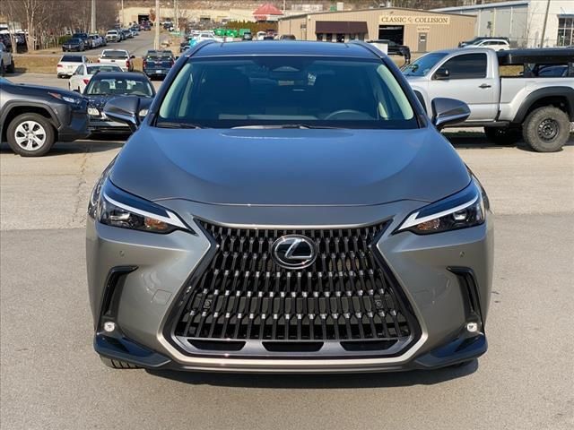 2023 Lexus NX 350h Premium