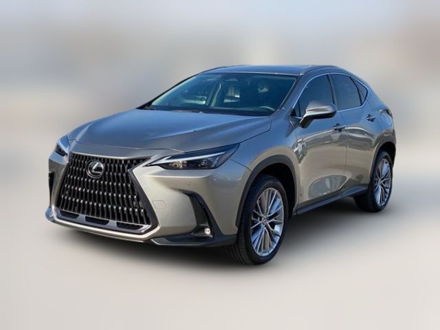 2023 Lexus NX 350h Premium