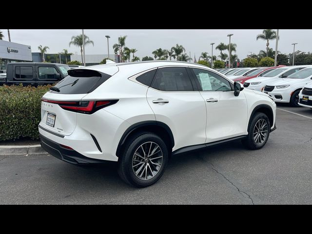 2023 Lexus NX 350h Premium