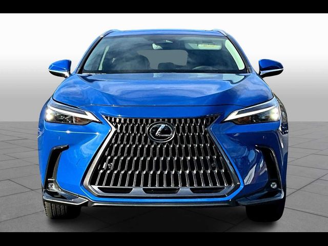 2023 Lexus NX 250