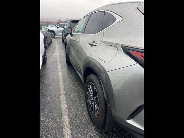 2023 Lexus NX 350 Premium