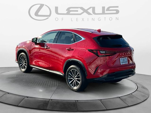 2023 Lexus NX 350h Premium