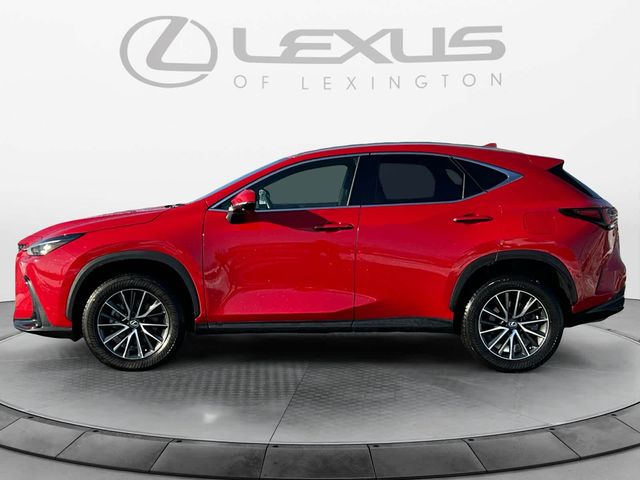 2023 Lexus NX 350h Premium