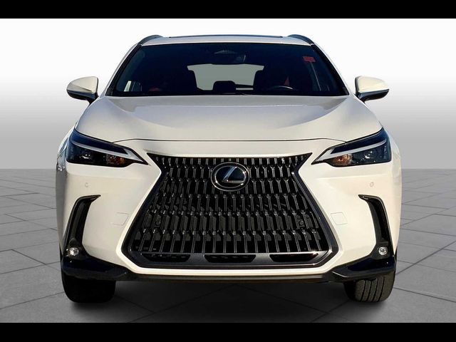 2023 Lexus NX 350 Premium