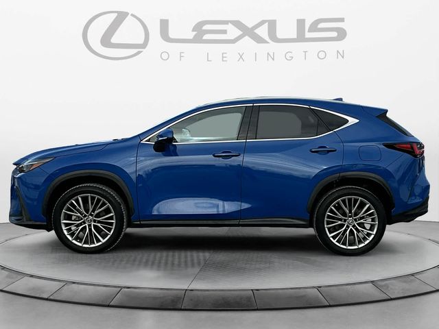 2023 Lexus NX 350h Premium