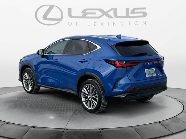 2023 Lexus NX 350h Premium