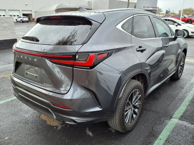 2023 Lexus NX 250