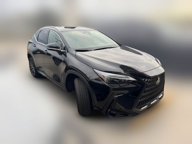 2023 Lexus NX 250