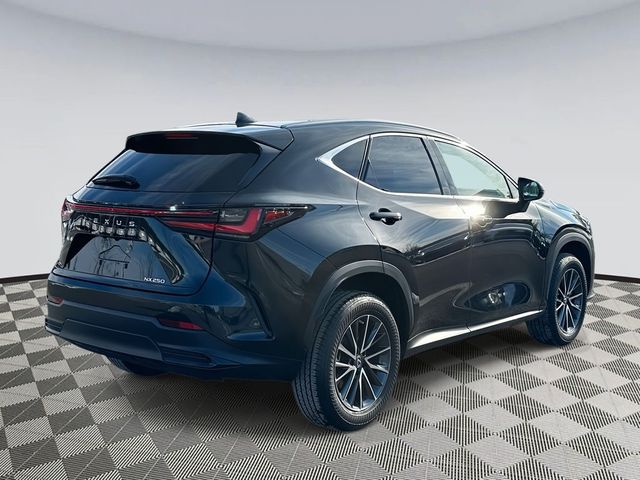 2023 Lexus NX 250