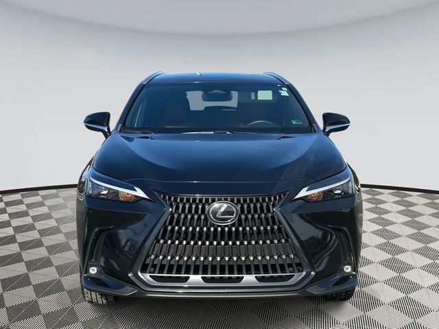 2023 Lexus NX 250