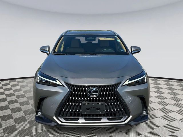 2023 Lexus NX 250