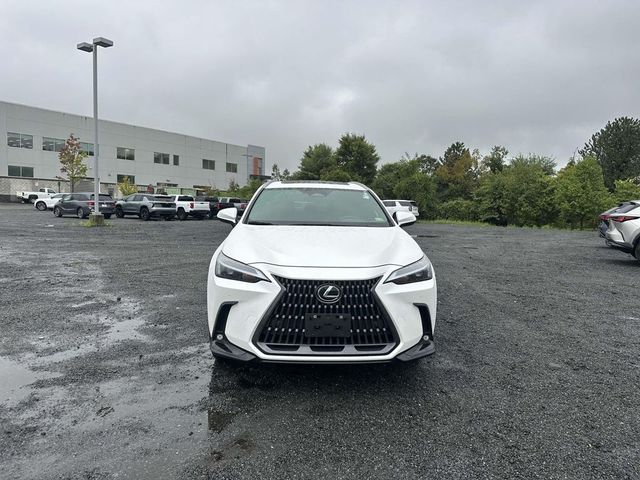 2023 Lexus NX 250 Premium