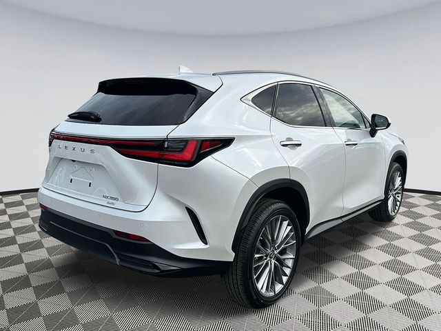 2023 Lexus NX 350 Luxury