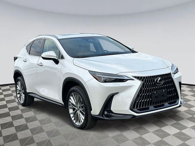 2023 Lexus NX 350 Luxury