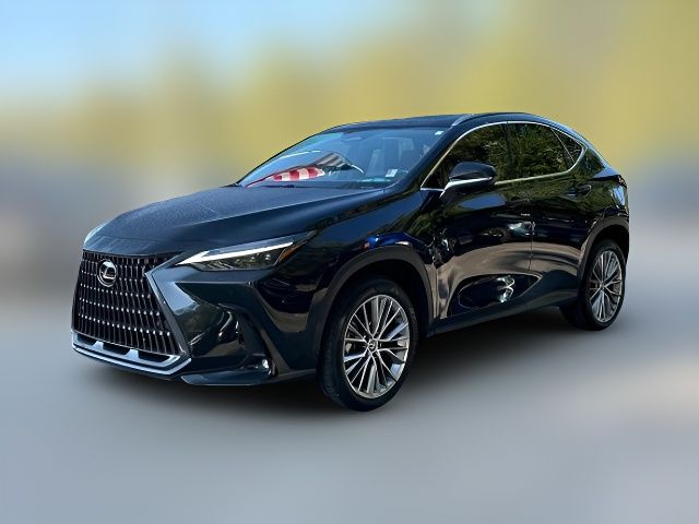 2023 Lexus NX 350 Luxury