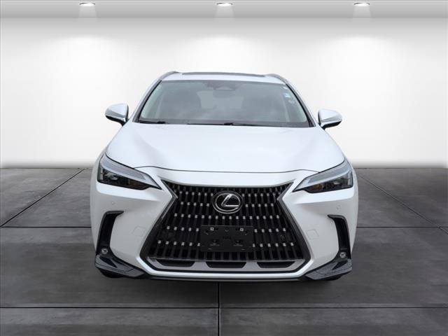 2023 Lexus NX 350 Premium