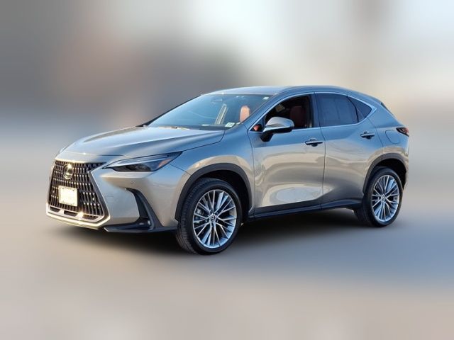 2023 Lexus NX 350 Luxury