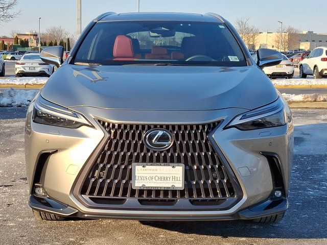 2023 Lexus NX 350 Luxury