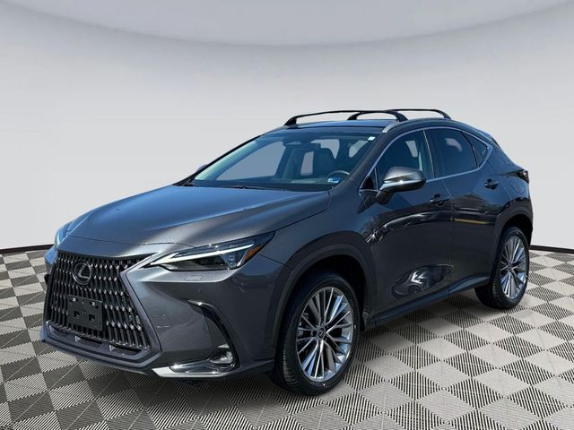 2023 Lexus NX 350h Luxury