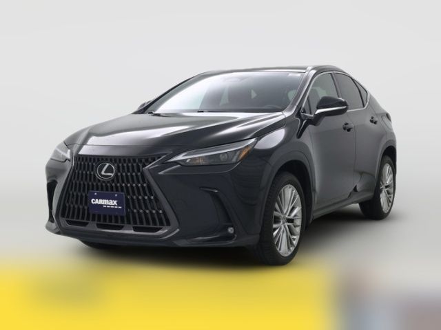 2023 Lexus NX 350h Premium
