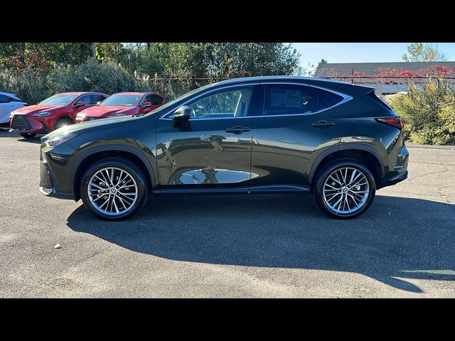 2023 Lexus NX 350h Premium