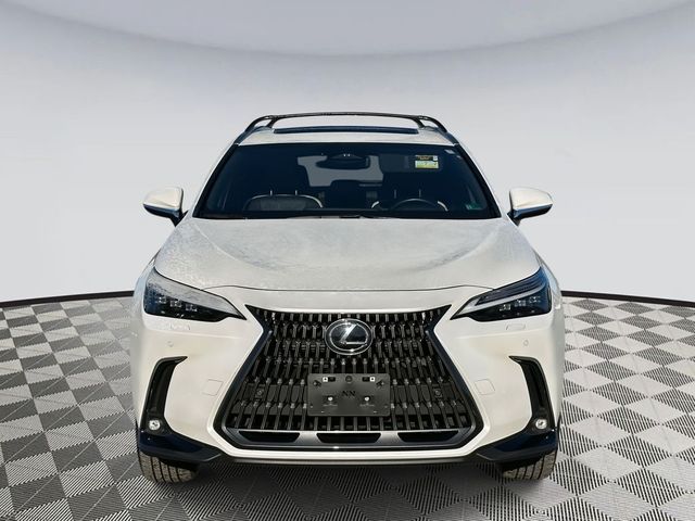 2023 Lexus NX 450h+ Luxury