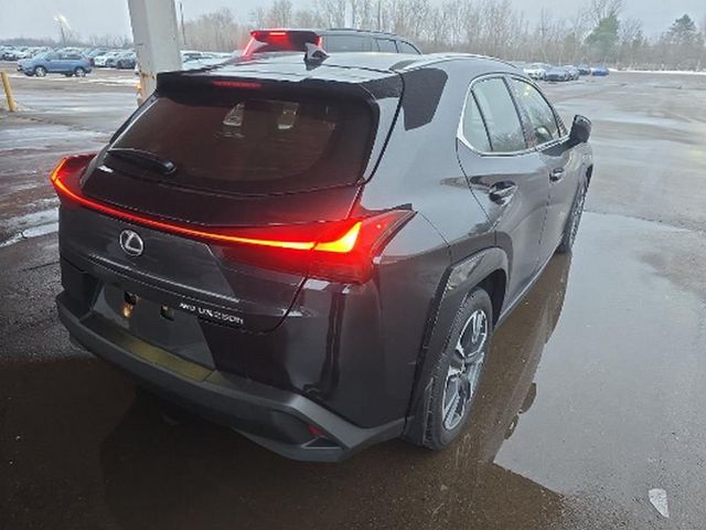 2023 Lexus UX UX 250h Premium