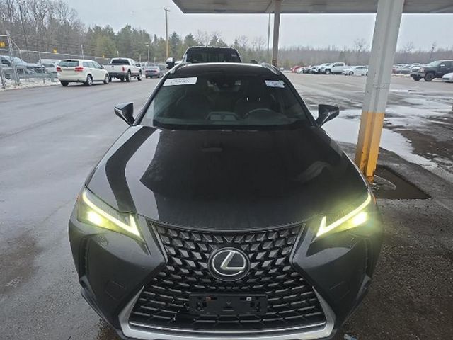 2023 Lexus UX UX 250h Premium