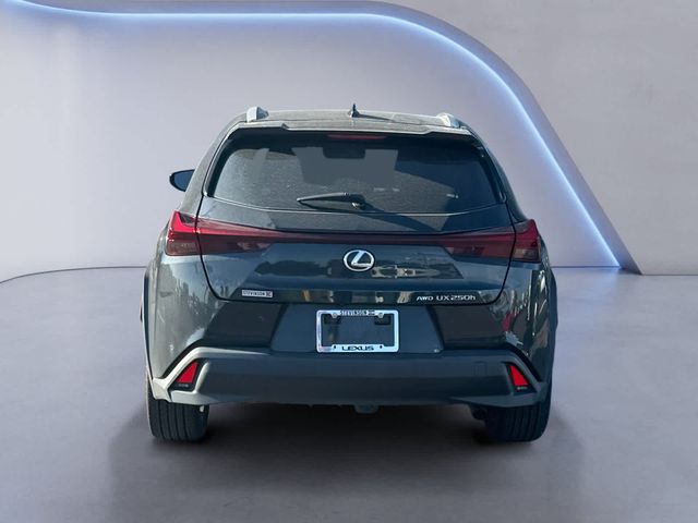 2023 Lexus UX 250h