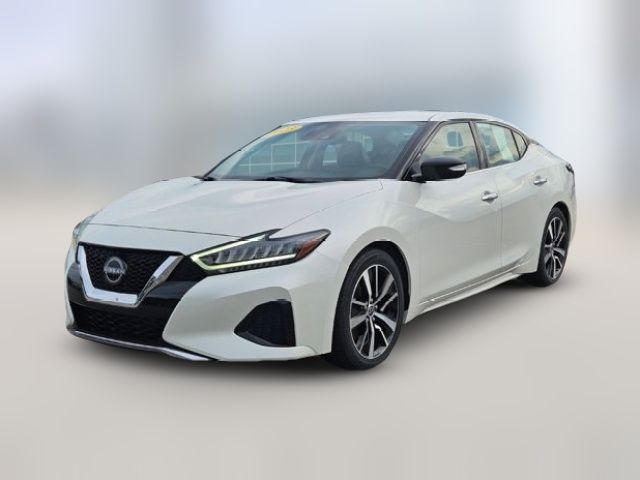 2023 Nissan Maxima SV