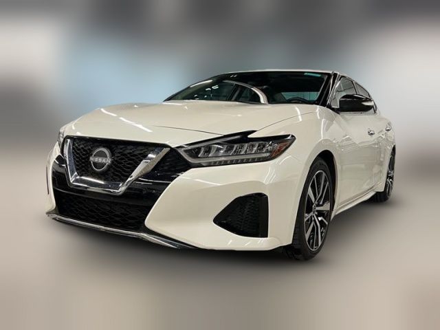 2023 Nissan Maxima SV