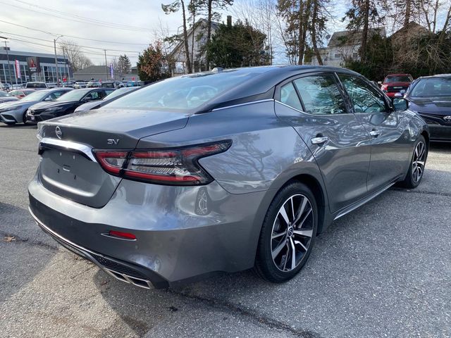 2023 Nissan Maxima SV