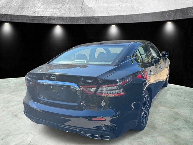 2023 Nissan Maxima SV