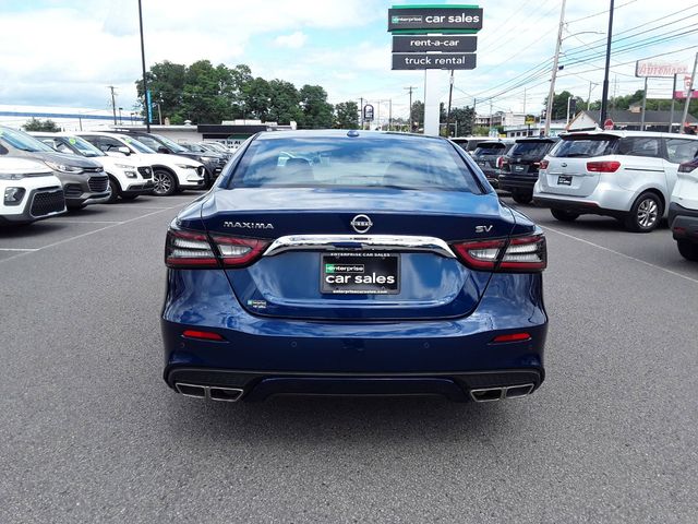 2023 Nissan Maxima SV