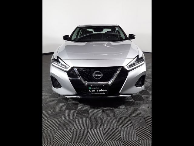 2023 Nissan Maxima SV