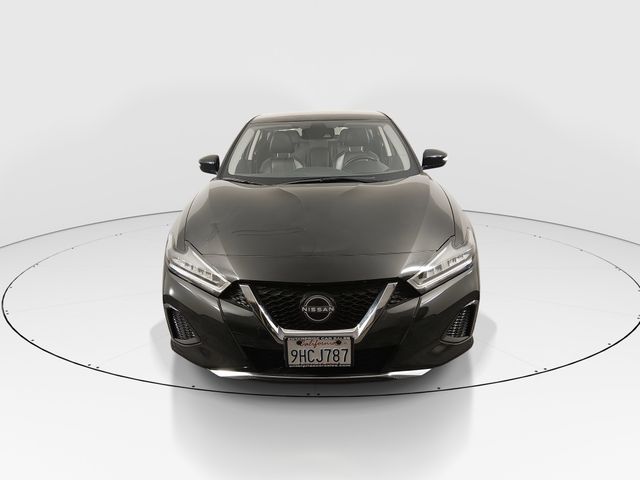 2023 Nissan Maxima SV