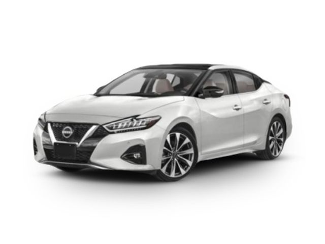 2023 Nissan Maxima SL