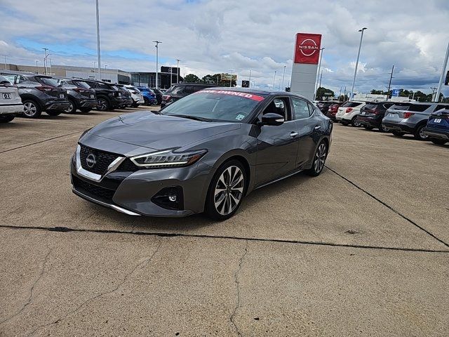 2023 Nissan Maxima Platinum