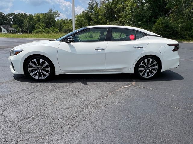 2023 Nissan Maxima Platinum